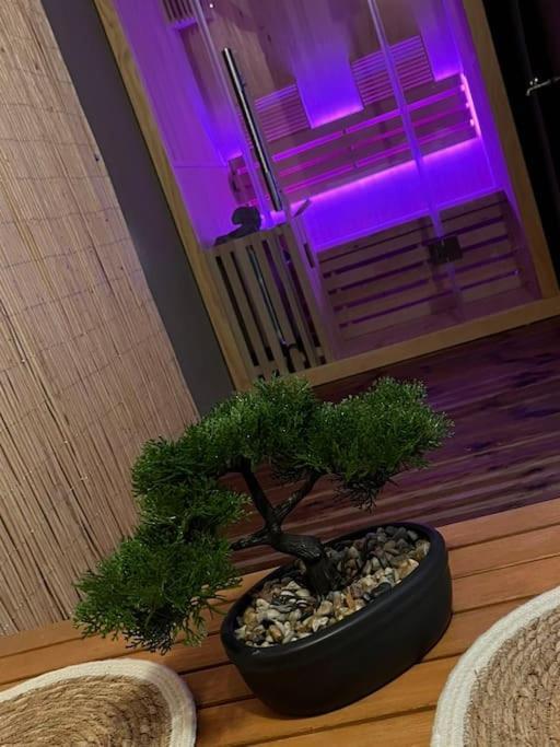 La Suite คาสเตลนู-เลอ-เลซ์ ภายนอก รูปภาพ